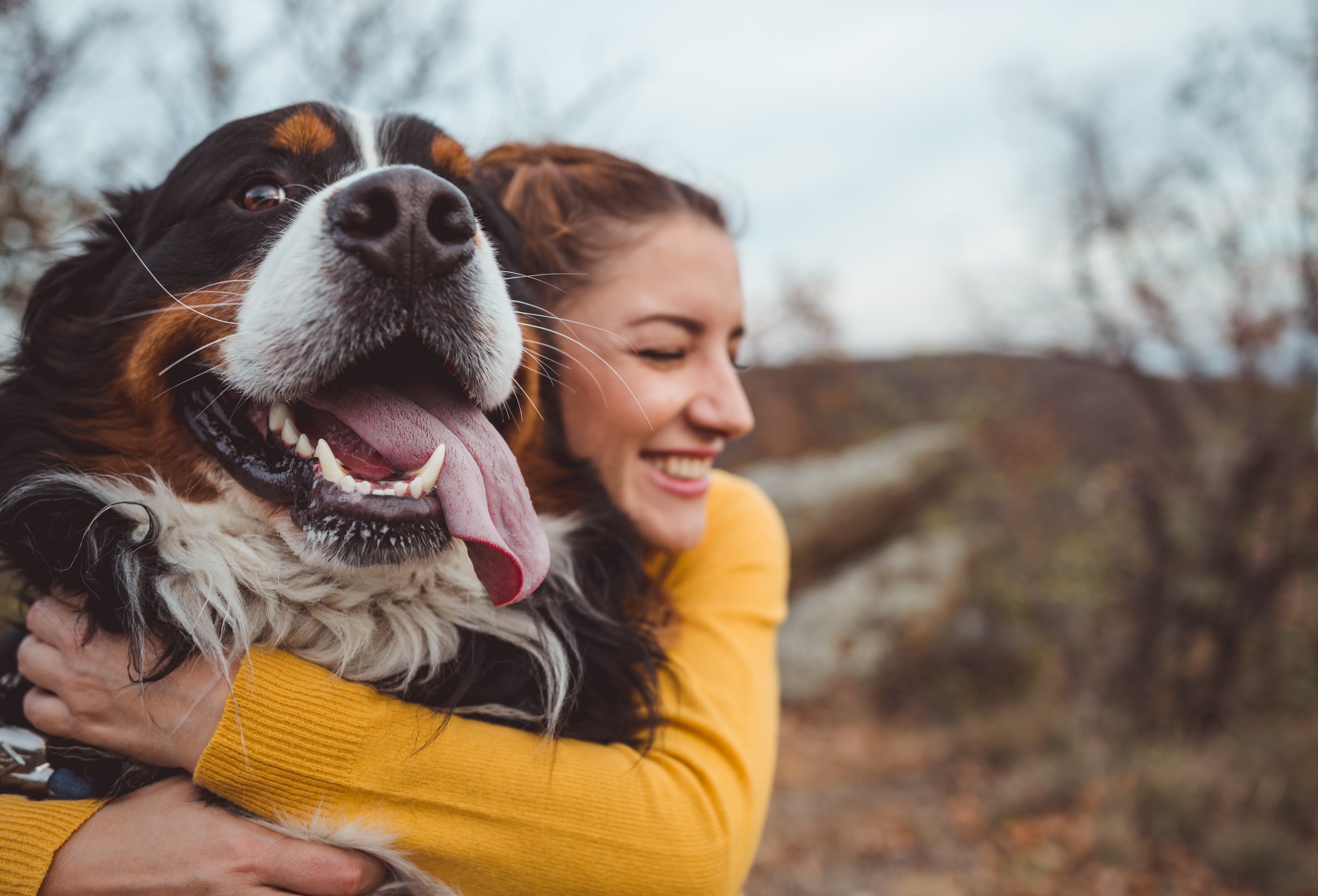 The Power of Behavioral Training: The Foundation for All Dog Training