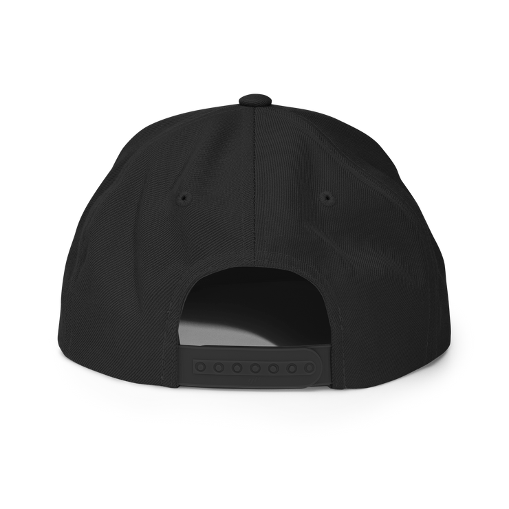 HHCT snapback hat