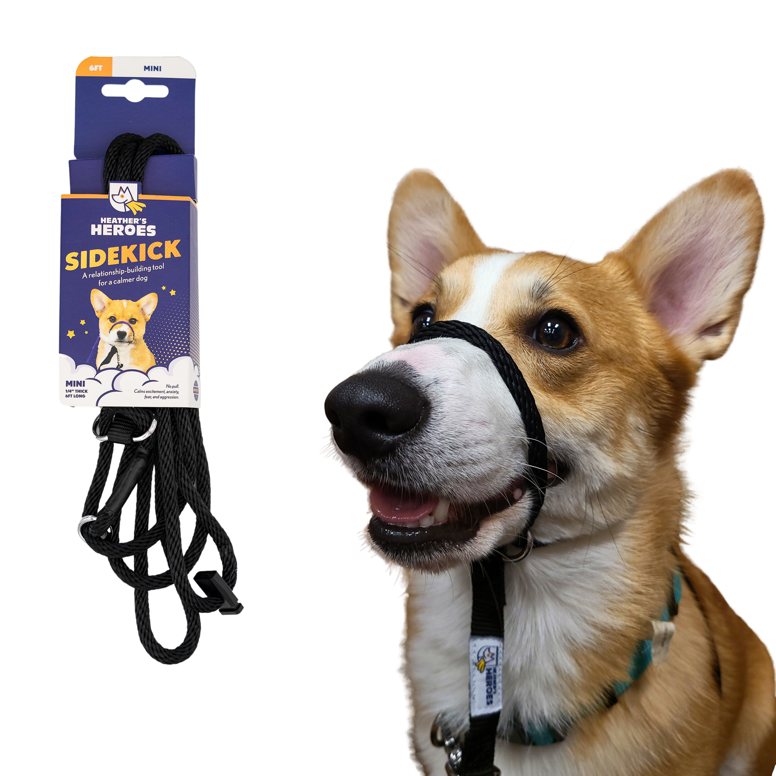 The Sidekick® mini black on a dog