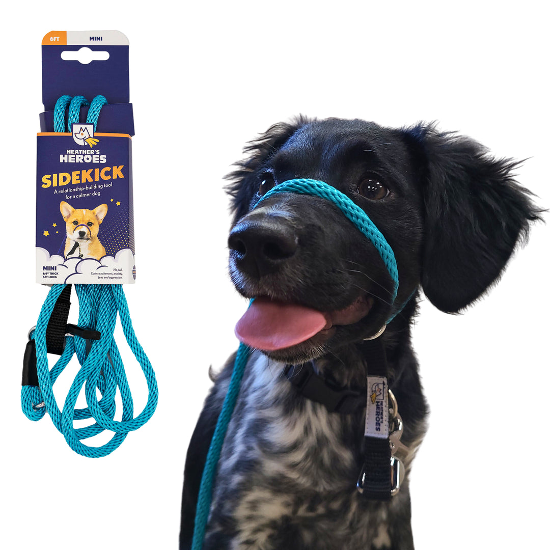 The Sidekick Transitional Leash Heather s Heroes