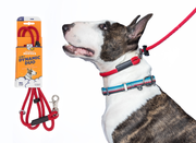 A Heather's Heroes Dynamic duo is shown in the packaging as one is shown in use as a slip lead on a white and brindle bull terrier dog