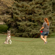 A red haired woman is pictured using a red Heather's Heroes long line while training a large husky mix dog. The dog has a goofy expression on his face with his tongue out.