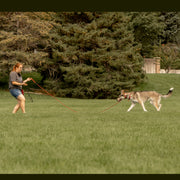 A red haired woman in glasses is shown using a red Heather's Heroes long line while training a large husky mix dog on recall. She is walking backwards away from the dog, who is walking forwards toward her